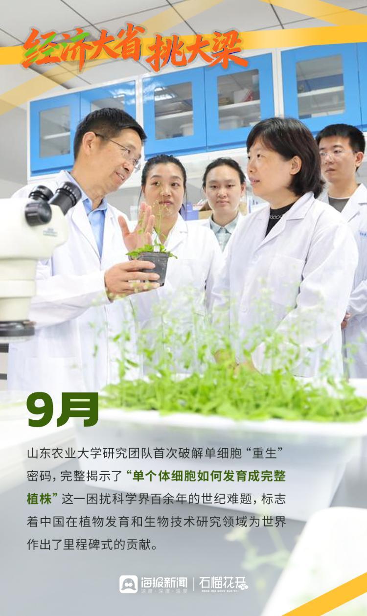 经济大省挑大梁丨2025，“硬核”创新拼出实干山东