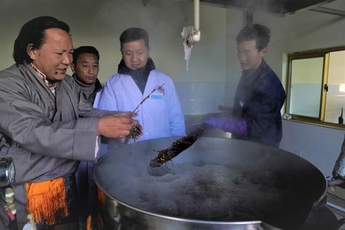 十年十项!这些中国项目列入人类非遗代表作名录