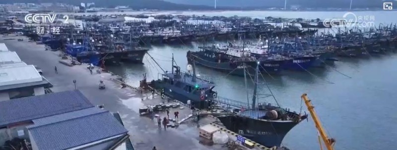 电商销售额3.5亿、出口增长10.2%:水产产业链升级激活乡村经济