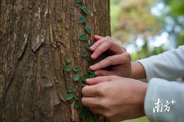 陪看不见的女孩跑下去|无障碍影片