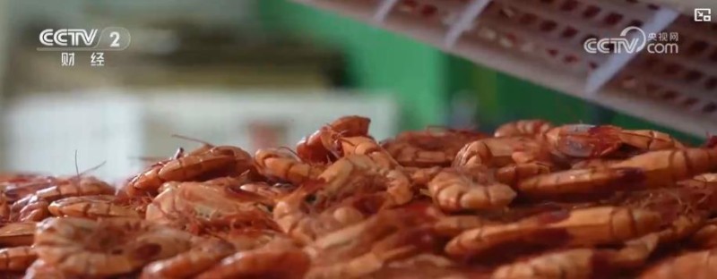 电商销售额3.5亿、出口增长10.2%:水产产业链升级激活乡村经济