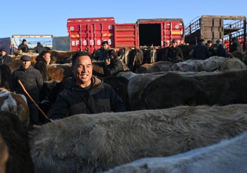 在新疆的巴扎 他们是连接牧场和市场的“纽带”