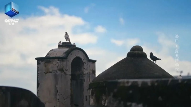 纪念澳门回归26周年！CCTV-9《澳门：露天博物馆》今晚开播