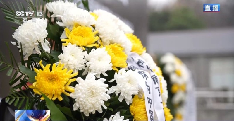 视频丨缅怀先烈 铭记历史 多地市民自发祭奠遇难同胞