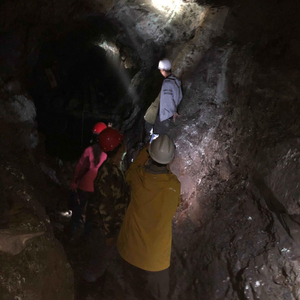 我国发现新矿物！正式命名为金秀矿