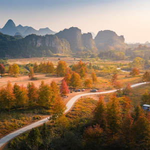 镜头丨冬至阳生 桂暖情长