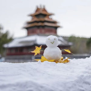北京周五的雪“稳”了！大部中雪、局地暴雪，但故宫周六的票约满了……