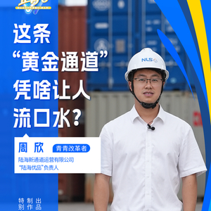 改革者 正青春｜这条“黄金通道”凭啥让人流口水？