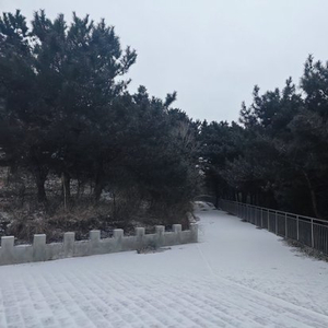 佛爷顶飘雪花啦！延庆、门头沟、房山三区山区出现降雪