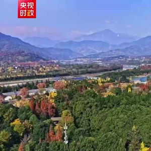 时政微纪录丨中法两国元首在成都进行友好交流