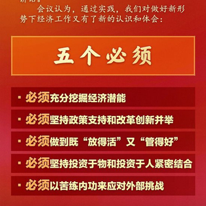 做好新形势下经济工作新认识和体会：五个必须！