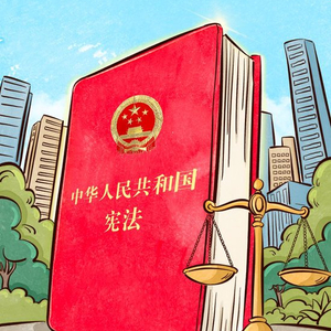 良法善治｜宪法的生命在于实施