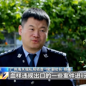 海关破获特大走私孕妇血样系列案，出境样本超10万人份，涉23个省份