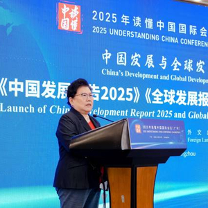 “2030年，中国有望实现8个‘超大规模’”