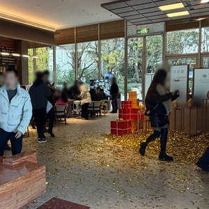 成都楼市折叠2025：富豪扫货主城千万豪宅，刚需客挤向近郊，有售楼处如同菜市场